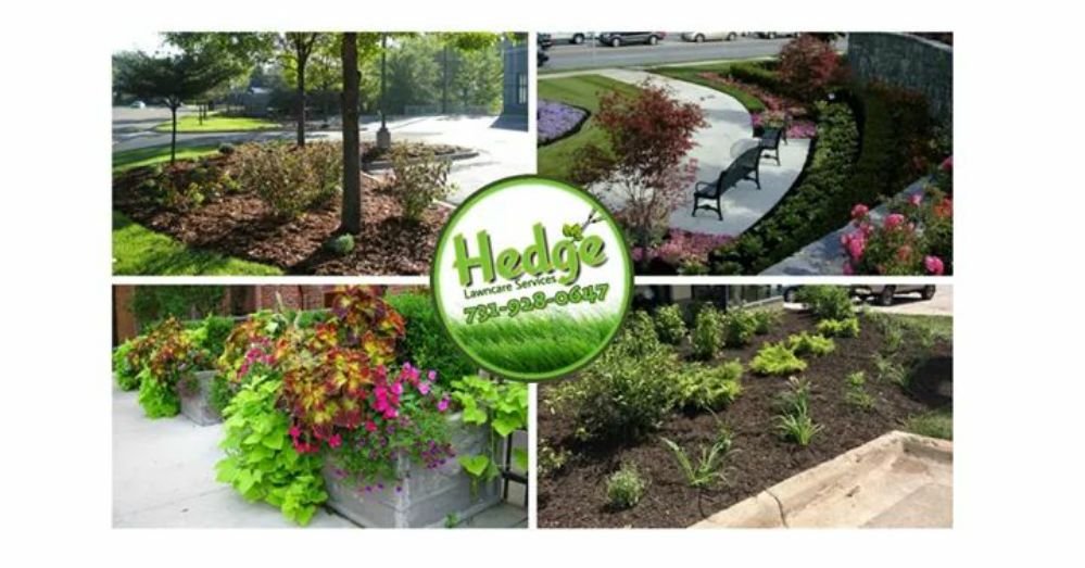 Photo of Hedge Lawncare Services