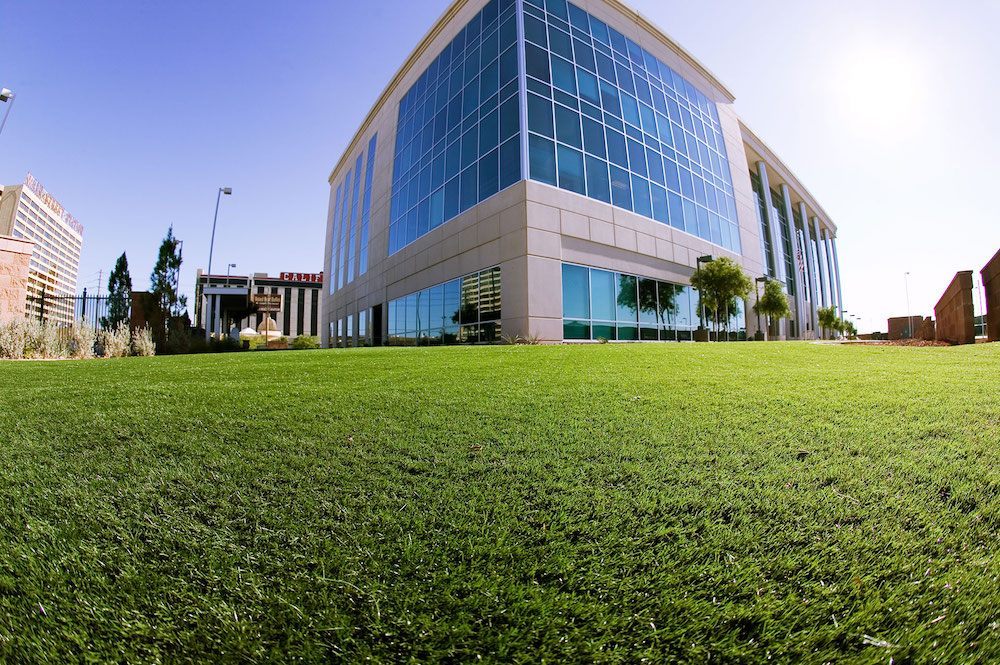 Photo of SYNLawn Colorado