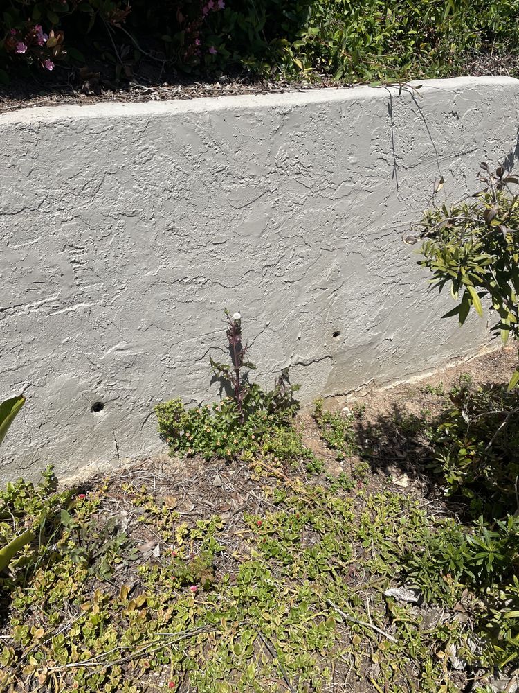 Photo of Green Horizons Landscape Maintenance