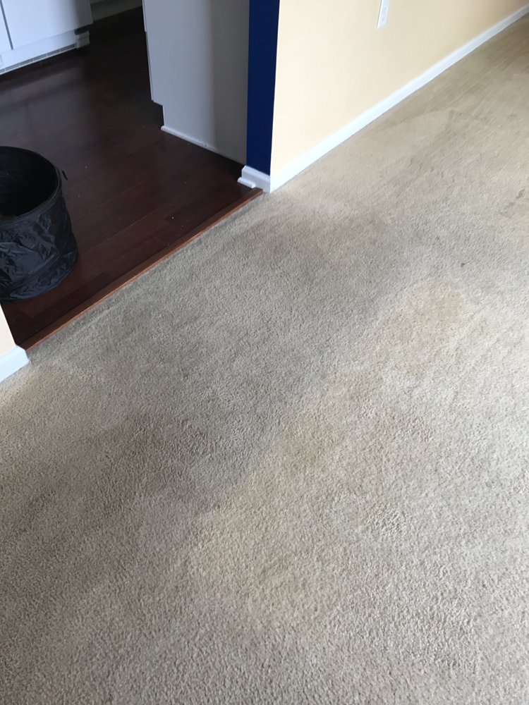 Photo of Pugh's Professional Carpet Cleaning