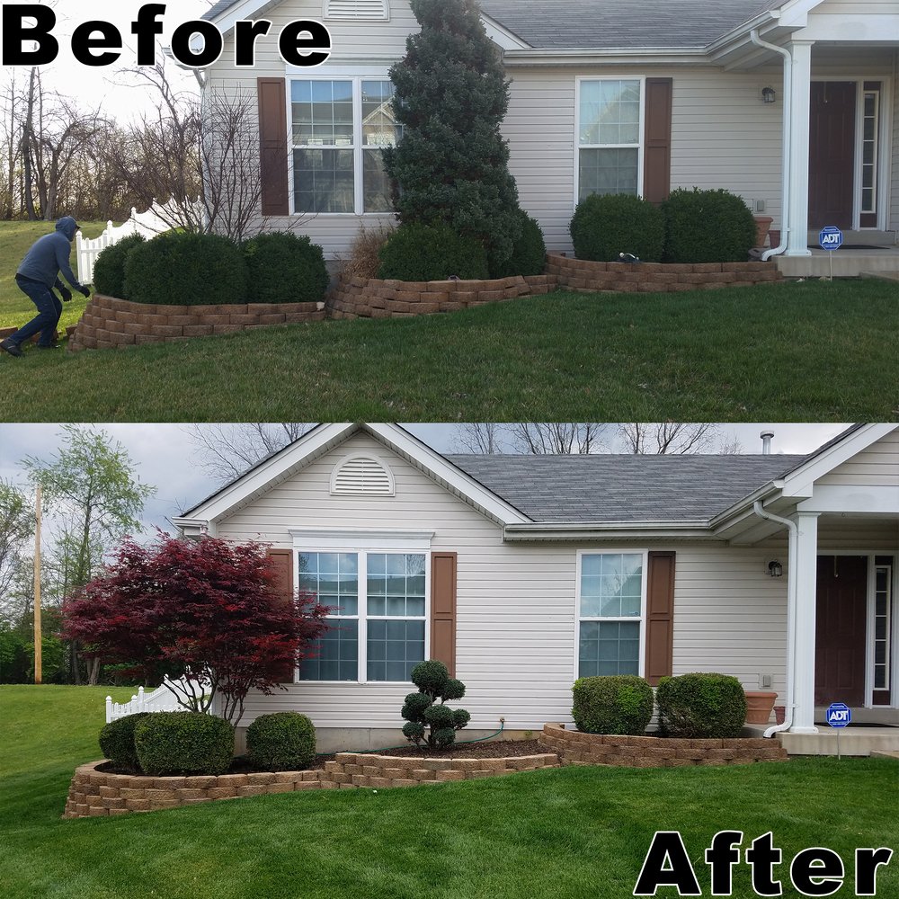 Photo of Matt's Lawncare