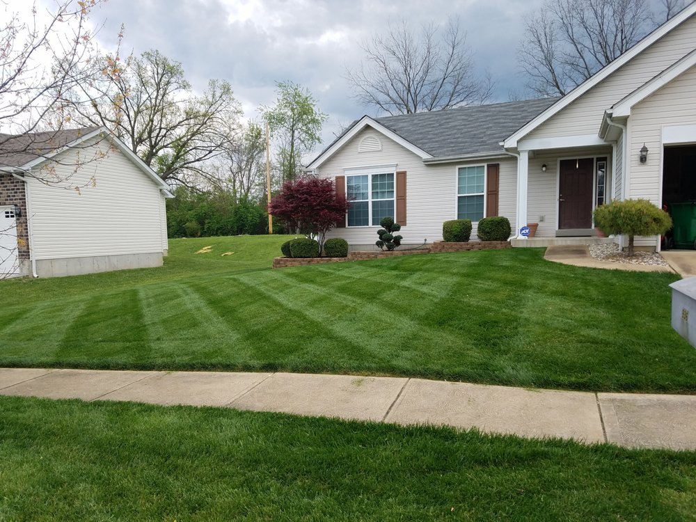 Photo of Matt's Lawncare