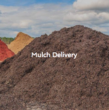 Photo of Maffucci and Son Dumpster Services