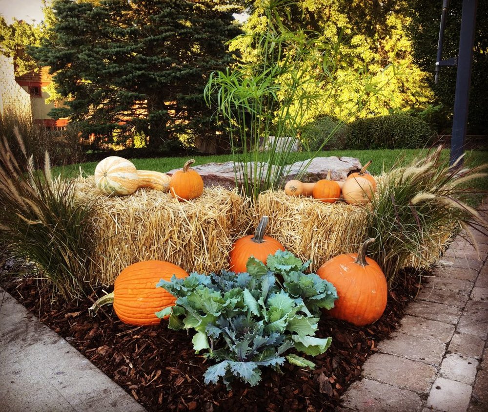 Photo of Embassy Landscape Group