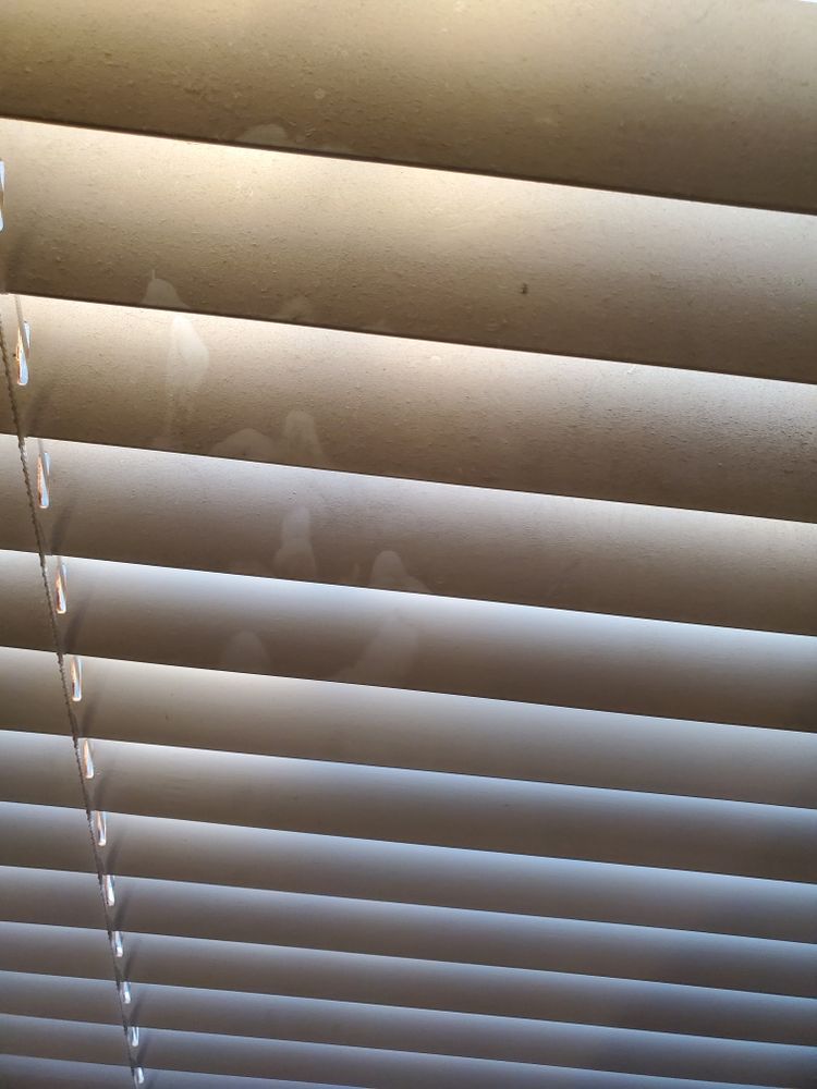 Photo of Monica's Housekeeping and Organizing