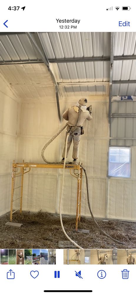 Photo of Freedom foam