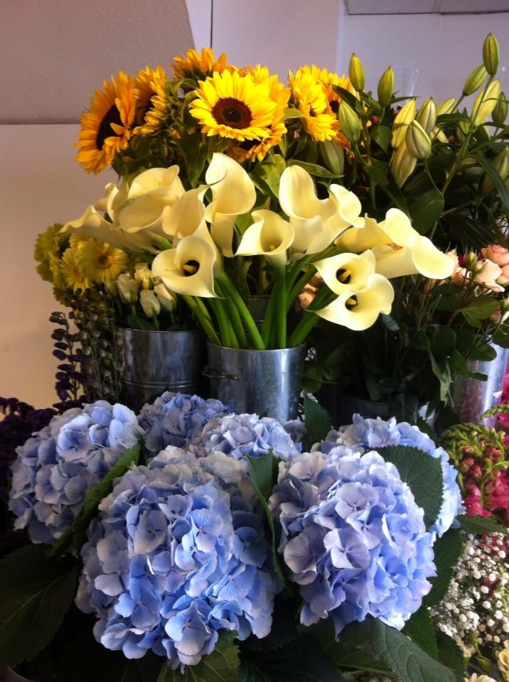 Photo of Belfast Flower Delivery
