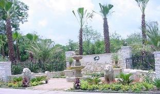 Photo of Ted's Trees