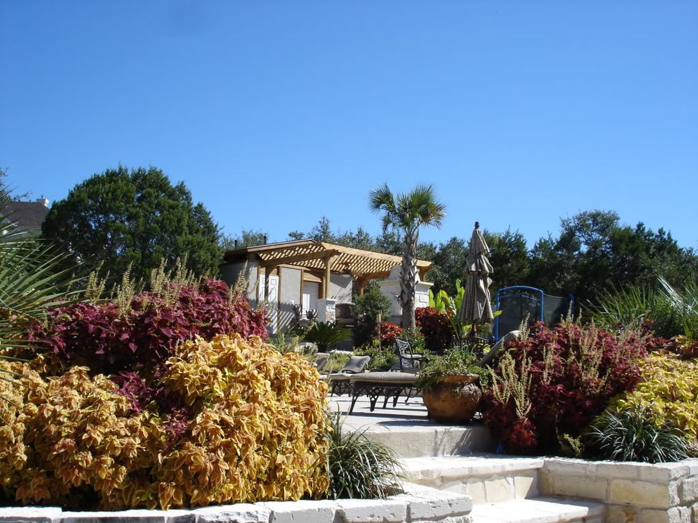 Photo of Ted's Trees