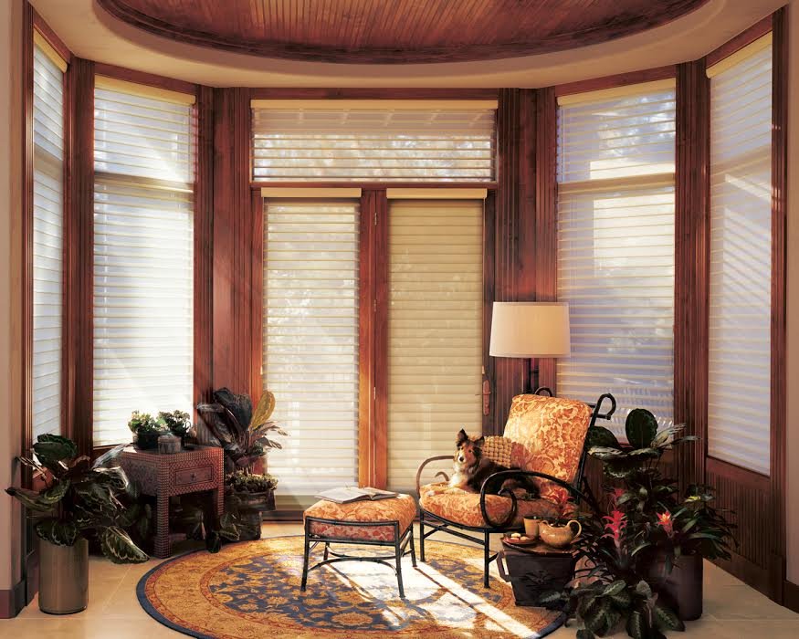 Photo of Window Expressions