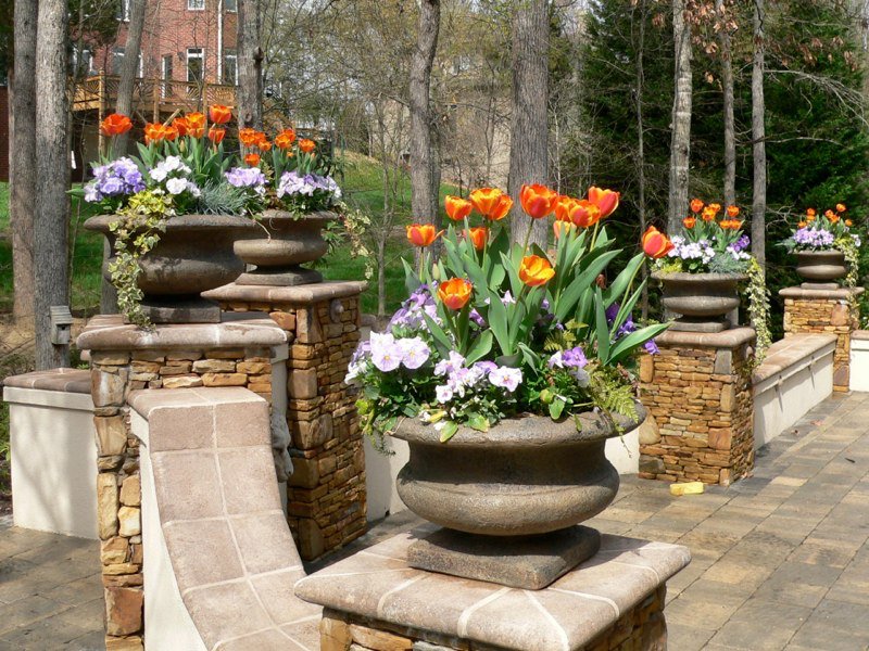 Photo of Redtree Landscape Design