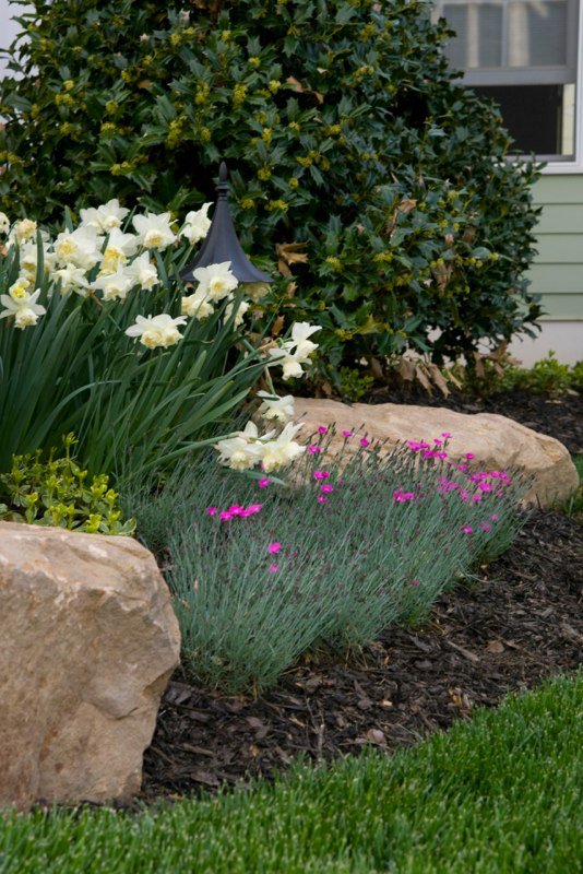 Photo of Redtree Landscape Design