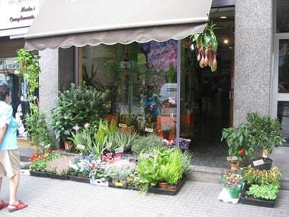 Photo of Floristería Jacaranda