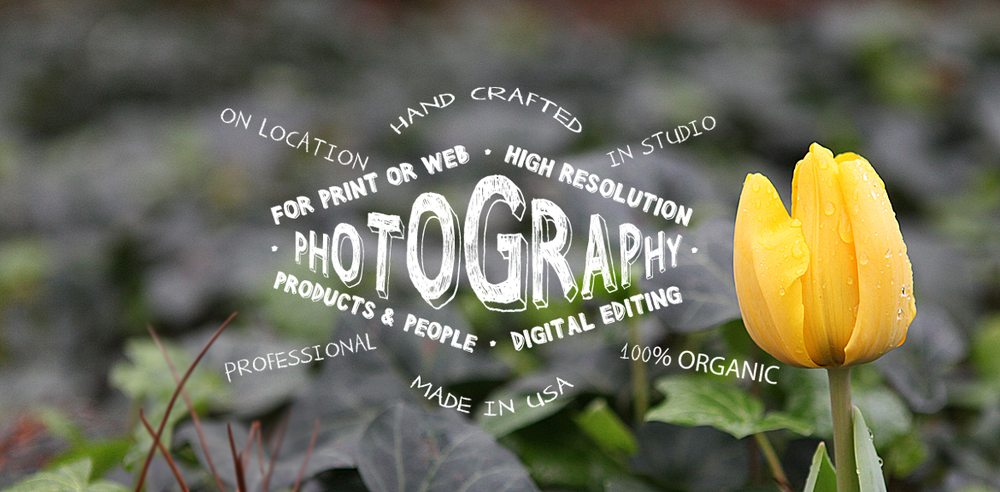 Photo of Design & Then Some