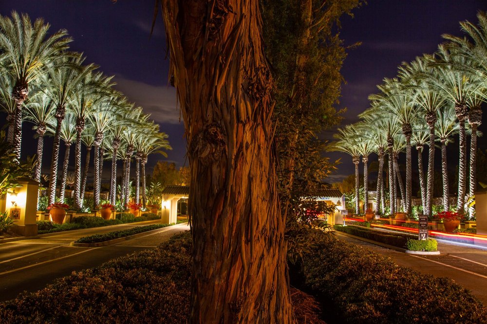 Photo of Horizon Lighting