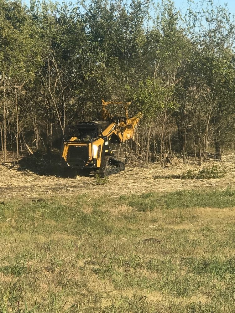 Photo of Lindberg Land Clearing