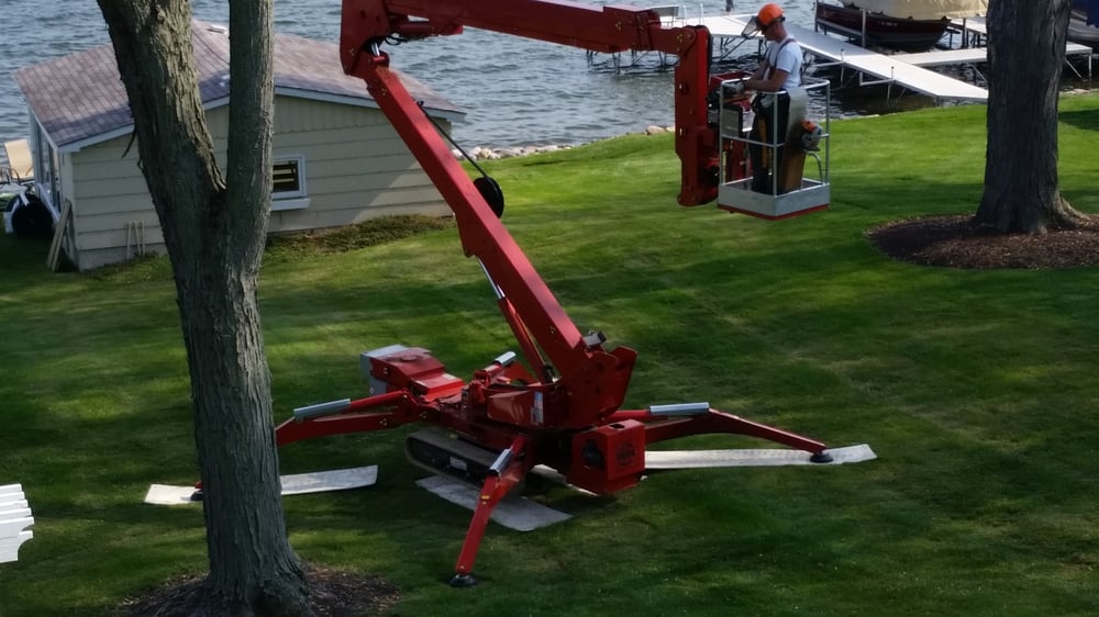 Photo of A Cut Above Tree Service and Landscaping