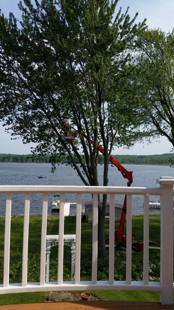 Photo of A Cut Above Tree Service and Landscaping