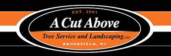 Photo of A Cut Above Tree Service and Landscaping