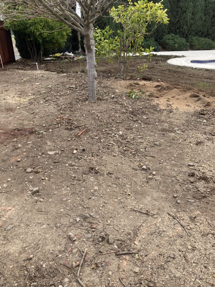 Photo of Antonio Alcaraz Gardening and Landscaping Services