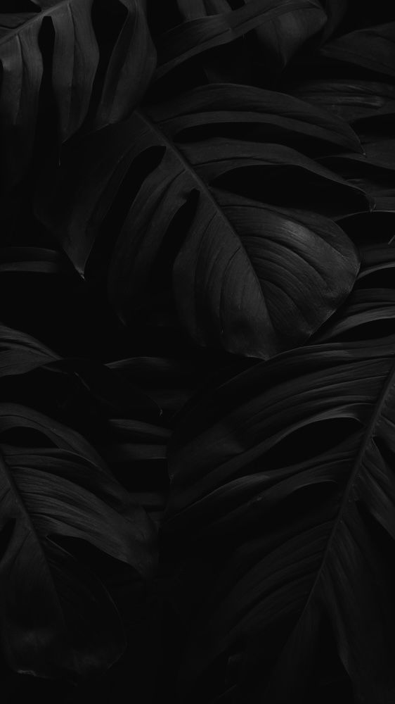 Photo of Wildstylez Website Design Studio