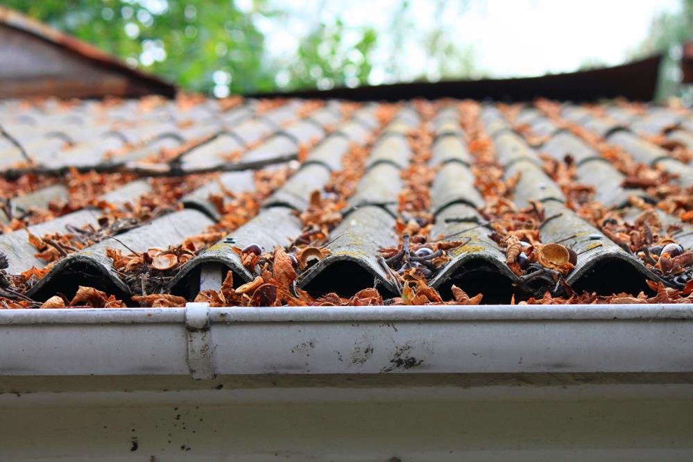 Photo of Kintana Seamless Gutter Home Improvement
