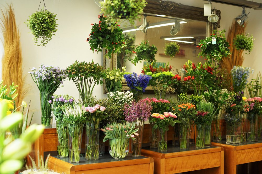 Photo of Reids Florists
