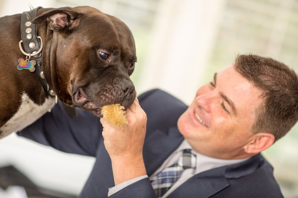 Photo of Brian Kelly