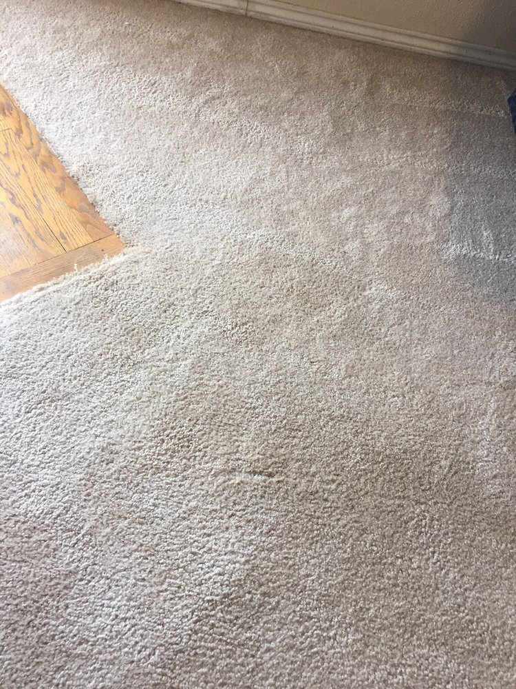 Photo of North County Carpet Cleaning