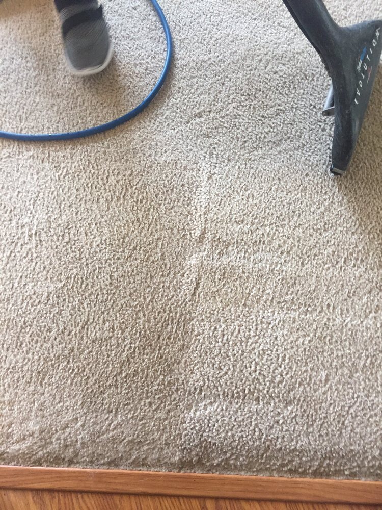 Photo of North County Carpet Cleaning