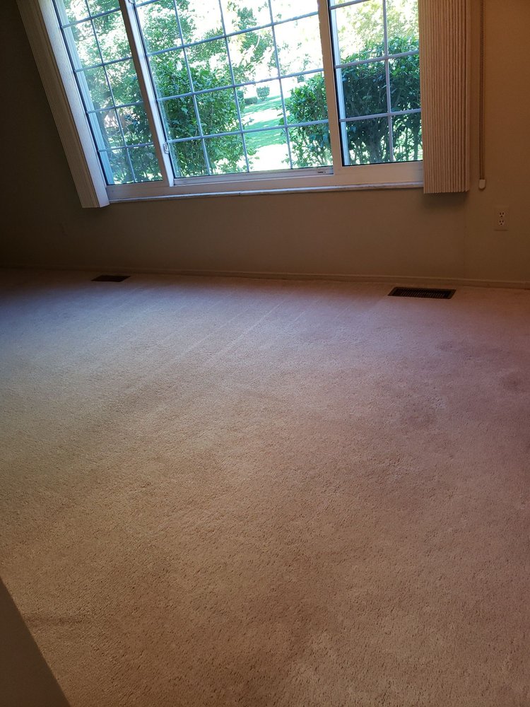Photo of Professional Rug Cleaners