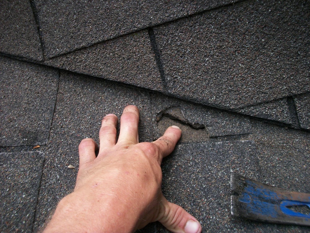Photo of Fresh Start Exterior Cleaning Services