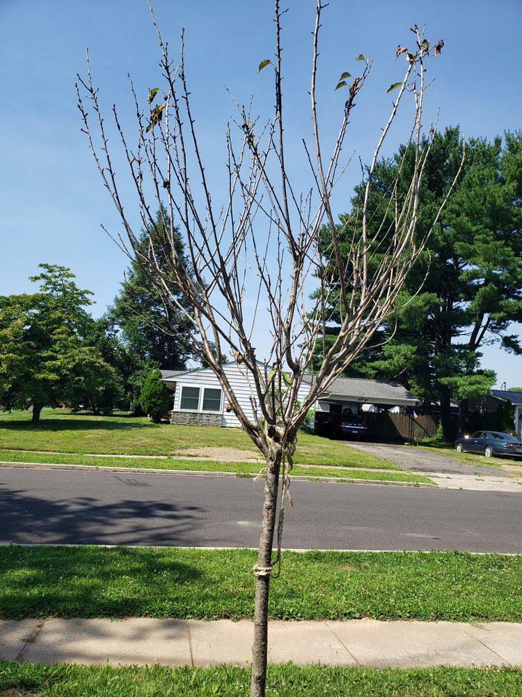 Photo of Gasper Home & Garden Showplace