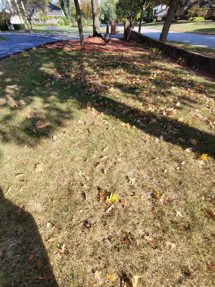 Photo of Dirty Bird Lawn Care