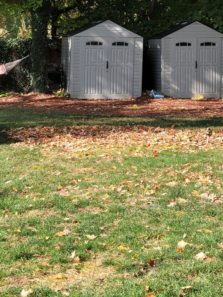 Photo of Dirty Bird Lawn Care