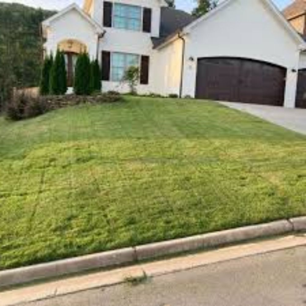 Photo of Dirty Bird Lawn Care