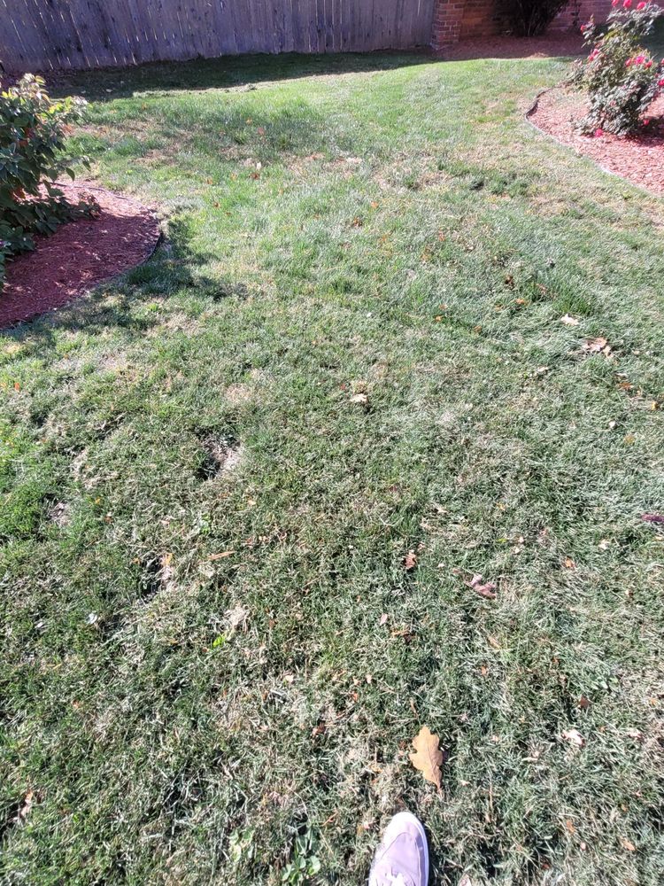 Photo of Dirty Bird Lawn Care