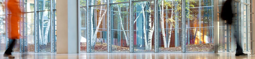 Photo of All City Window Cleaning