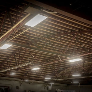 Photo of Moses Electrical Services