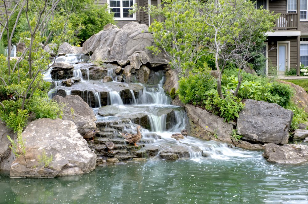 Photo of Springs Apartments