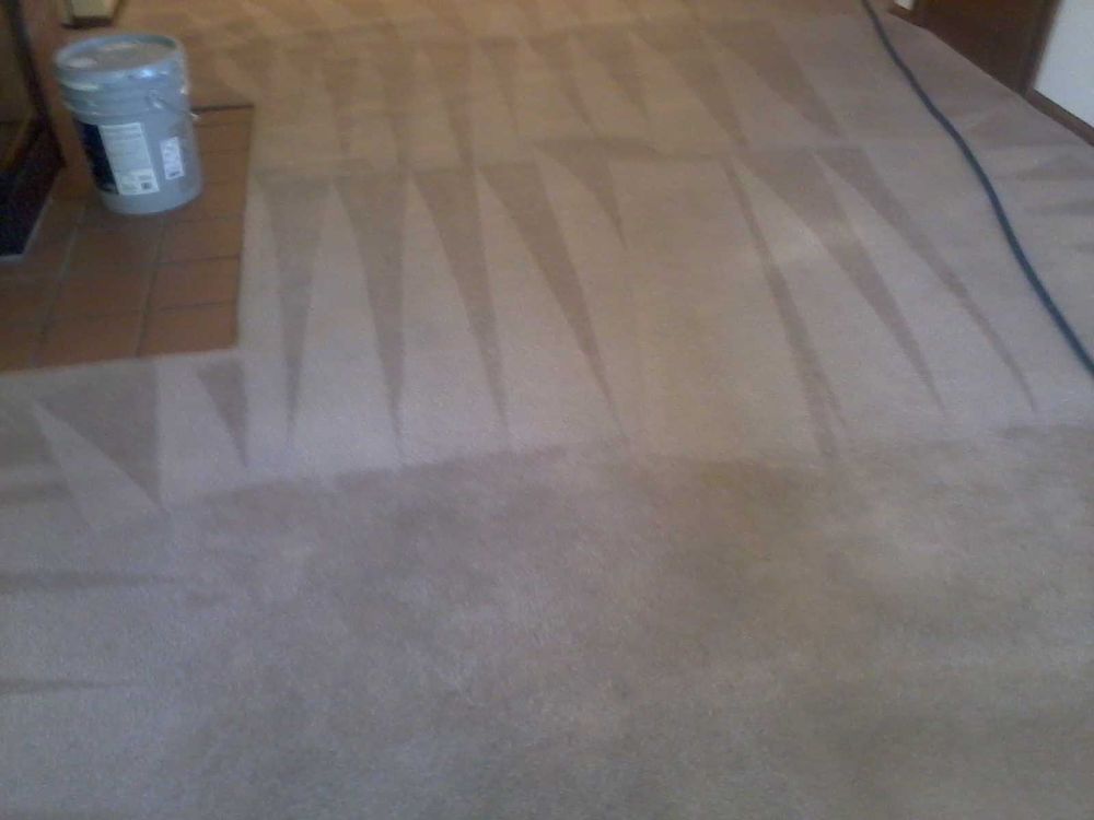 Photo of Quality Carpet & Upholstery Cleaners