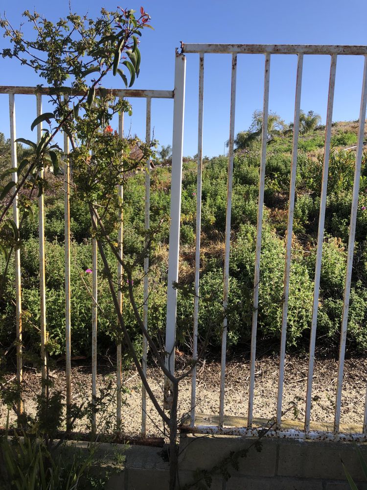 Photo of Five Brothers Fence