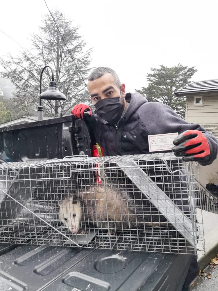Photo of ASAP Rodent Solutions