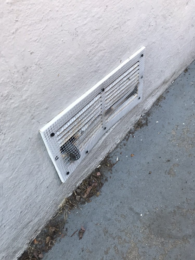 Photo of ASAP Rodent Solutions