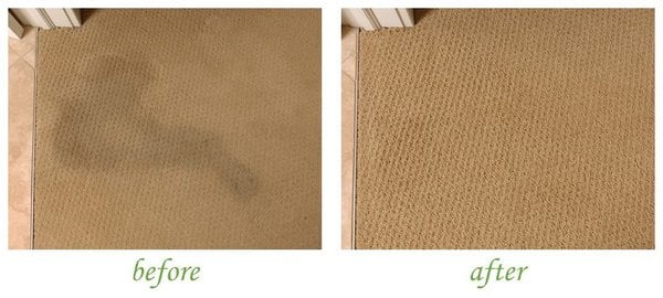 Photo of Spot On Carpet & Tile Care