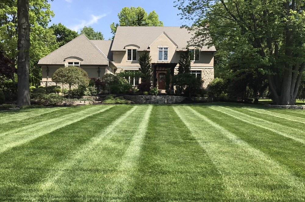 Photo of 1st Choice Yard Care