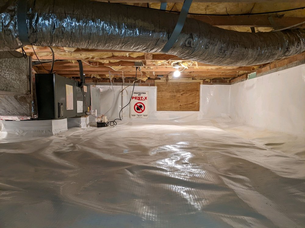 Photo of Pest-X Exterminating