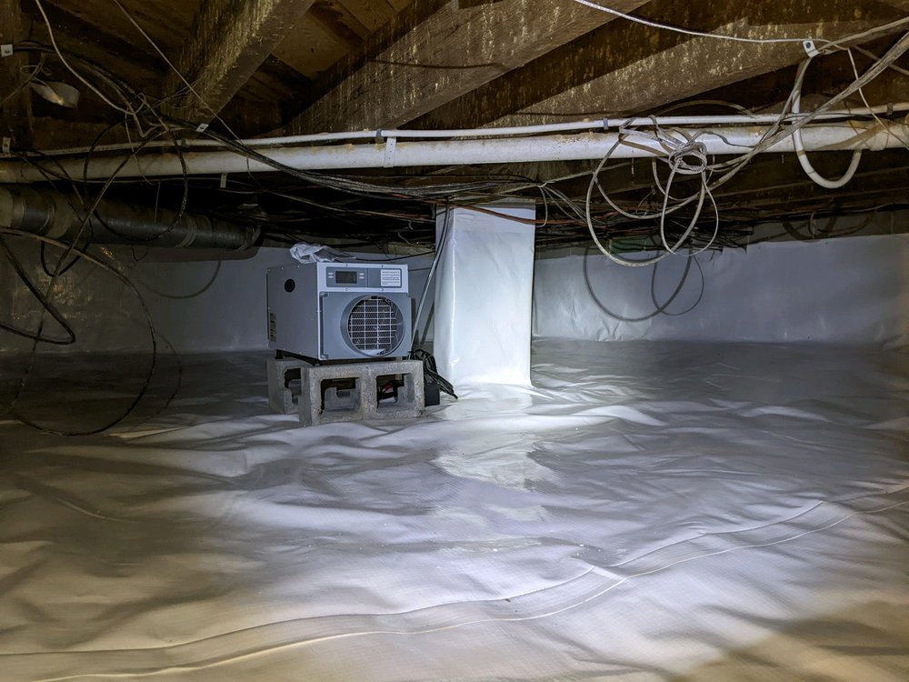 Photo of Pest-X Exterminating
