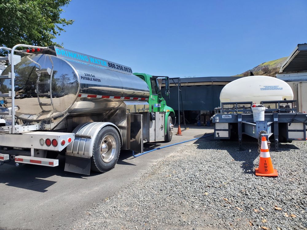 Photo of BLu Bulk