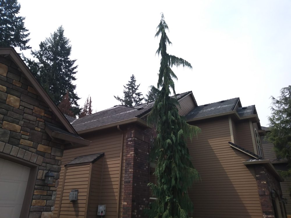 Photo of Exterior Excellence Northwest